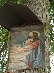 Bildbaum Loibersdorfstraße