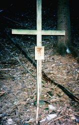 Steiner-Kreuz