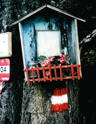 Baumbild am  Mariazeller - Weg