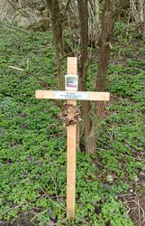 Kreuzweg Wolfern 14. Station