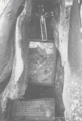 Bildbaum Wakolbinger