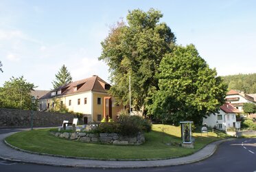 Linden im Park, Gerichtslinden