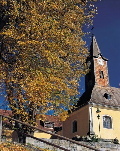 Linden im Park, Gerichtslinden