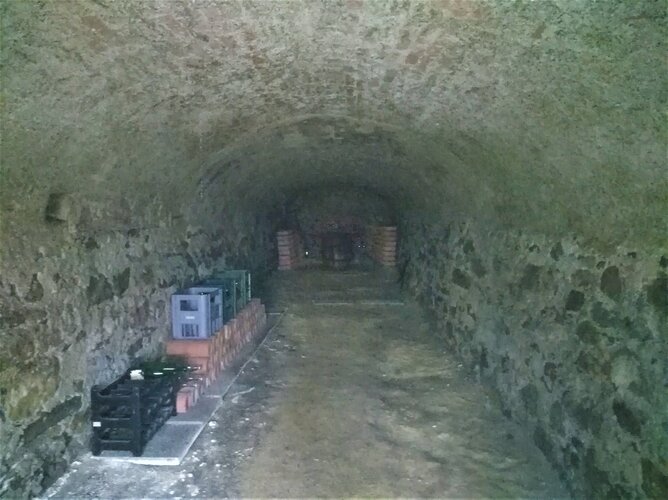 Mostkeller Kapelle Plesching