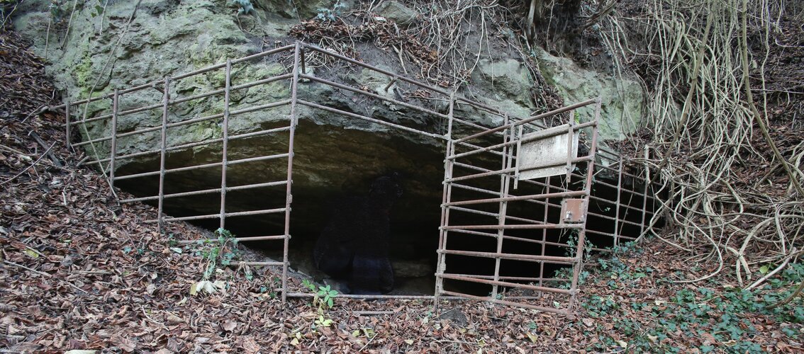 Große Steyregger Höhle - Höllweinzen