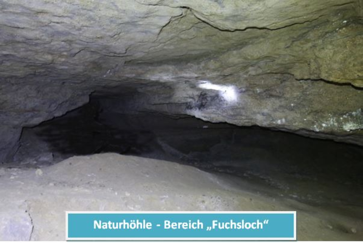 Große Steyregger Höhle - Höllweinzen