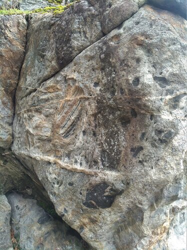 Gruber - Stein in Plesching