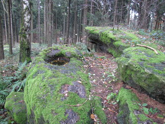 Schalenstein am Pfenningberg