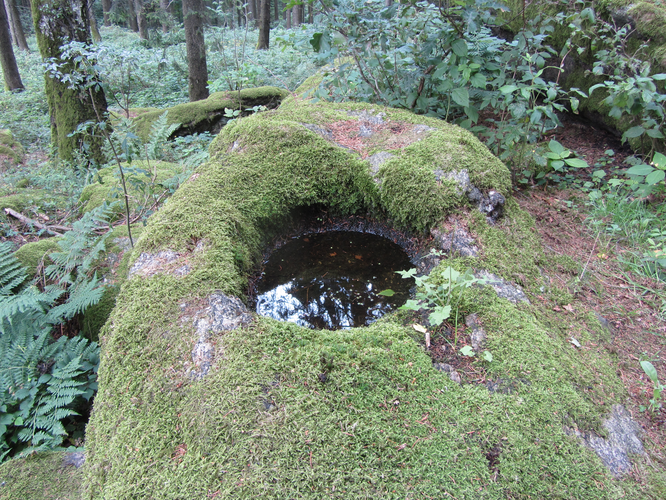 Schalenstein am Pfenningberg