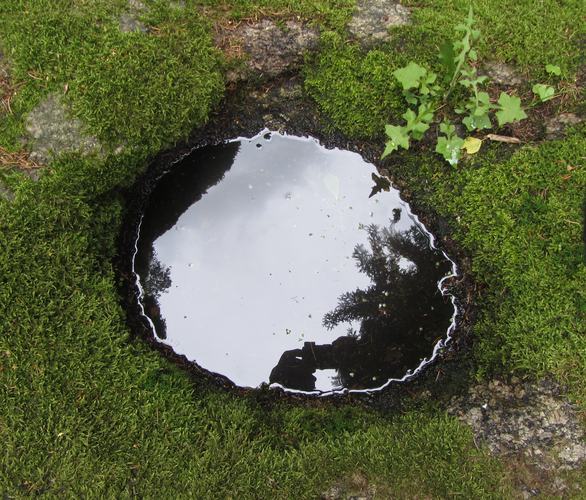 Schalenstein am Pfenningberg