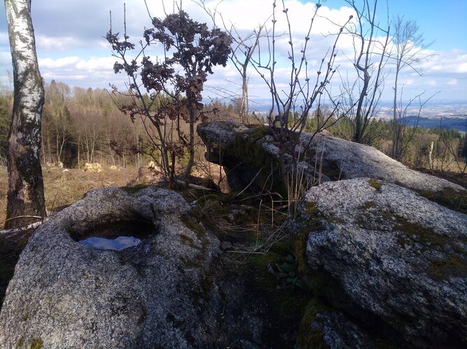 Schalenstein am Pfenningberg