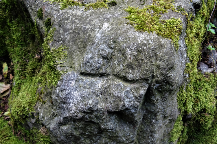 Teufelsstein bei Enzenpühringer Kapelle