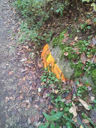 Teufelsstein bei Enzenpühringer Kapelle