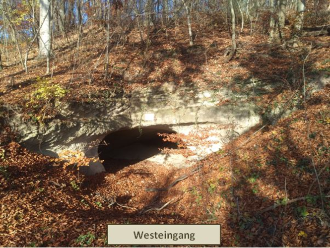 Kleine Steyregger Höhle in Plesching