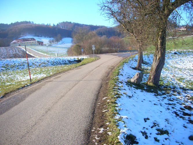 Lochstein/Gatterstein  vulgo "Jaglhahn"