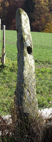 Lochstein/Gatterstein vulgo Halmer - Poscher