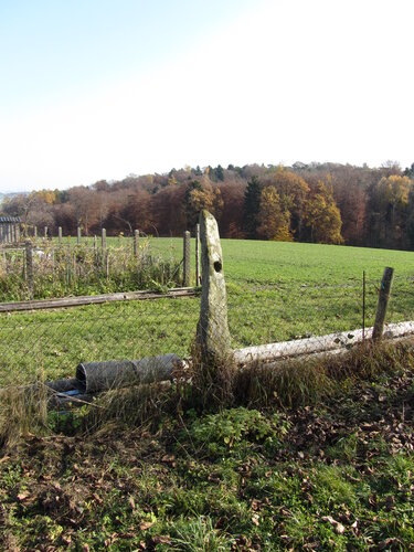 Lochstein/Gatterstein vulgo Halmer - Poscher