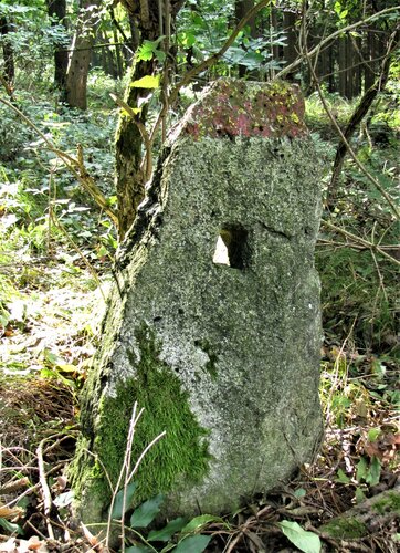 Lochstein/Gatterstein "Lehnerwiese"