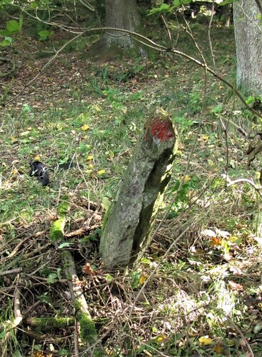 Lochstein/Gatterstein "Lehnerwiese"