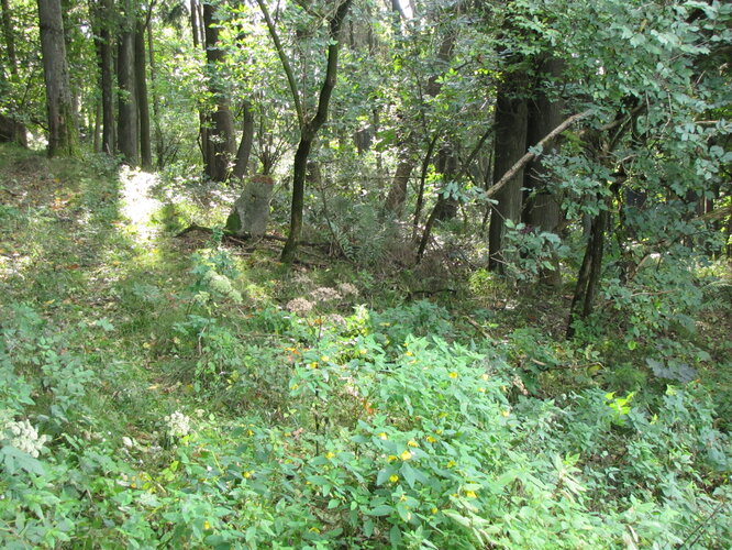 Lochstein/Gatterstein "Lehnerwiese"