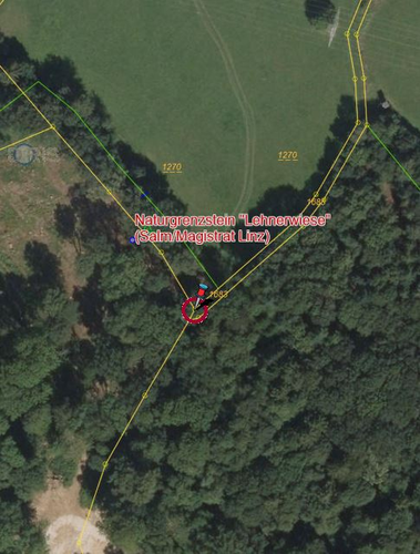 Lochstein/Gatterstein "Lehnerwiese"