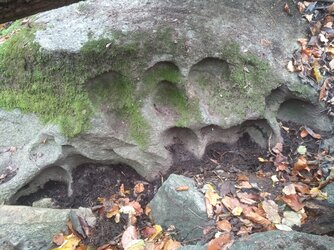 Schalenstein im Kroisbach