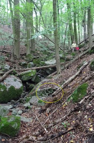 Schalenstein im Kroisbach