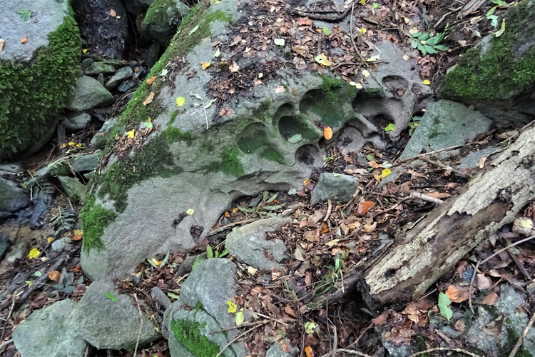 Schalenstein im Kroisbach