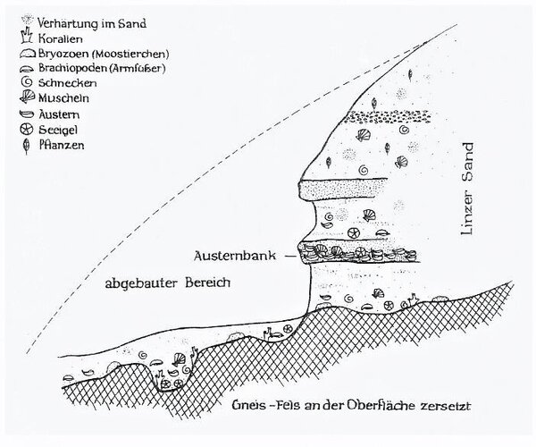 Pleschinger Austernbank