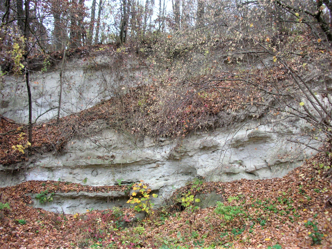 Pleschinger Austernbank