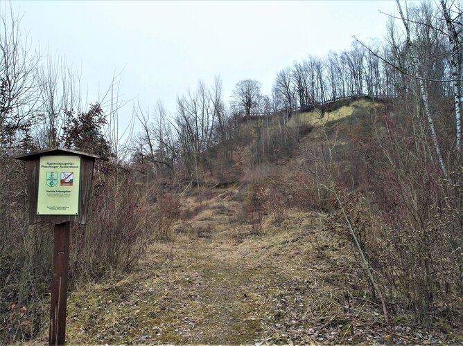 Pleschinger Austernbank