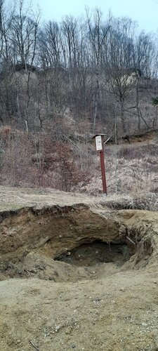 Pleschinger Austernbank