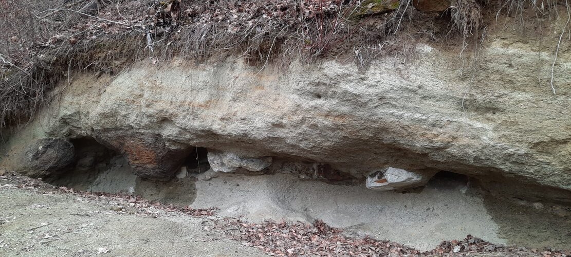 Pleschinger Austernbank