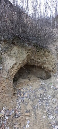 Pleschinger Austernbank