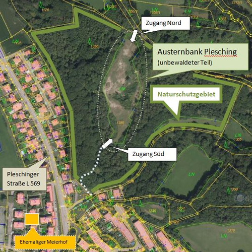 Pleschinger Austernbank