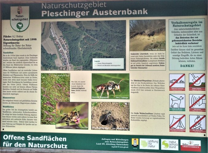 Pleschinger Austernbank