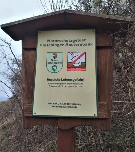 Pleschinger Austernbank