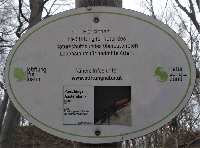 Pleschinger Austernbank