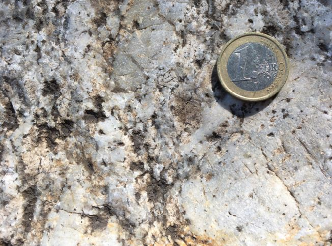 Steingarten Steyregg - (01) Weinsberger Granit