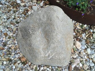 Steingarten Steyregg - (02) Migmagranit