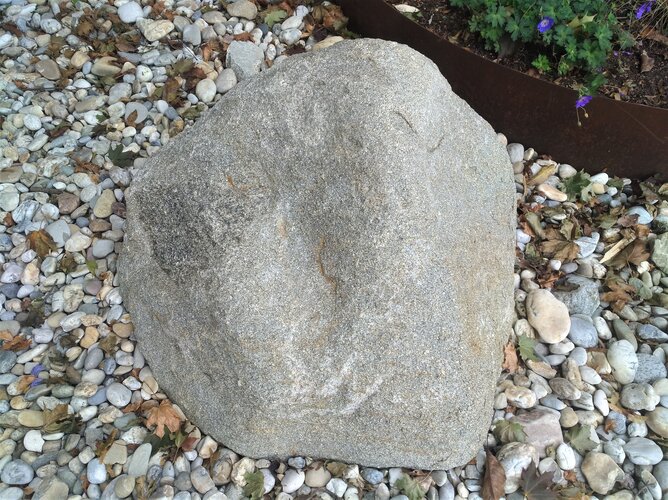 Steingarten Steyregg - (02) Migmagranit