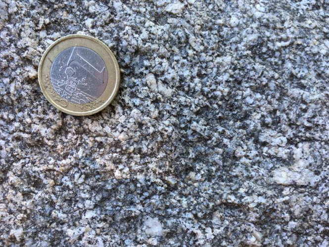 Steingarten Steyregg - (02) Migmagranit