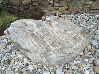 Steingarten Steyregg - (09) Gneis mit aplitischer Bänderung