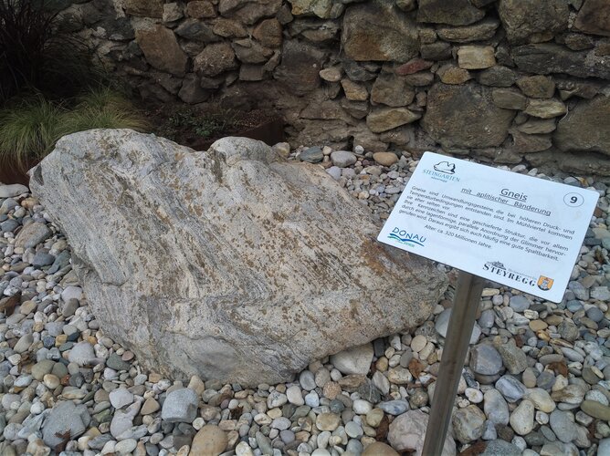 Steingarten Steyregg - (09) Gneis mit aplitischer Bänderung
