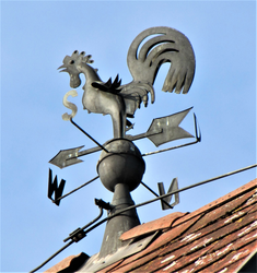 Wetterhahn auf Stadtpfarrkirche