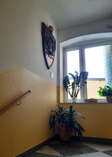 Eiserner Wehrschild - Stadtamt