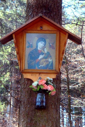 Bildbaum am Fuß der Riesn