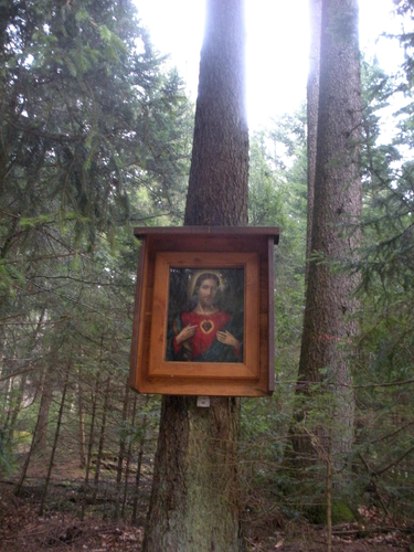 Bildbaum am ehemaligen Totenweg