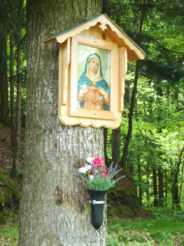 Moosleitner Bildbaum