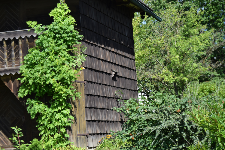 Getreidespeicher in Buchleiten